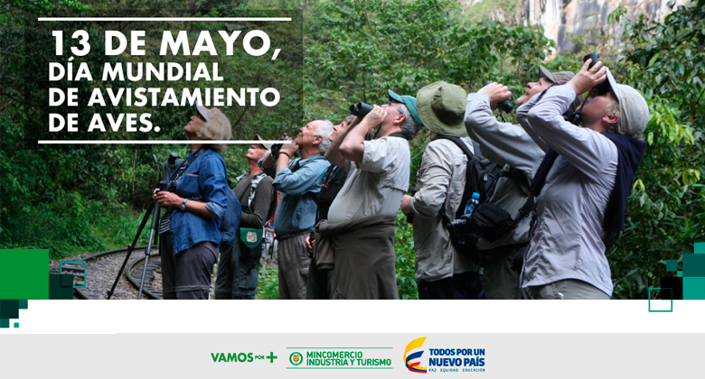 13 de mayo, Día Mundial de Avistamiento de Aves