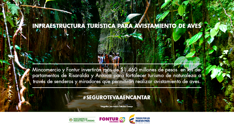 Infraestructura turística para avistamiento de aves