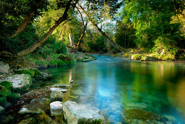 VIII Encuentro Turismo de Naturaleza