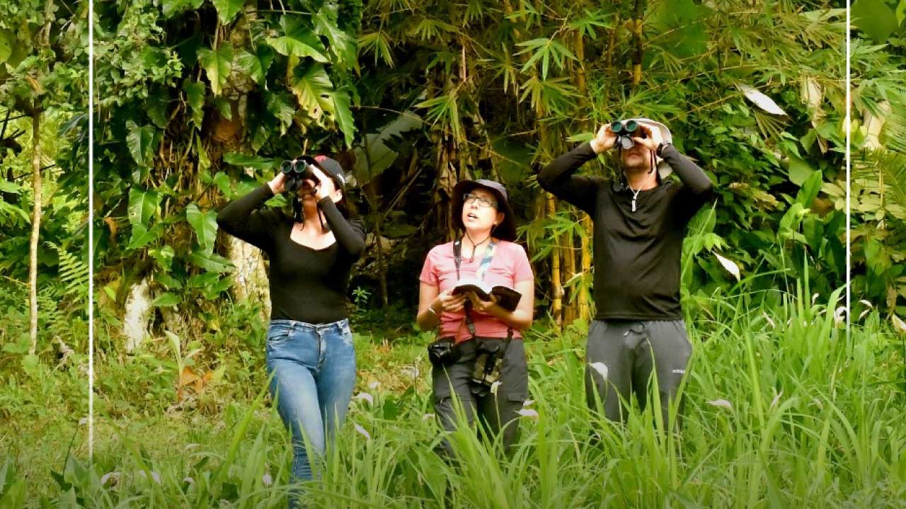 Aviturismo en Tumaco, una cita a ciegas con la naturaleza 