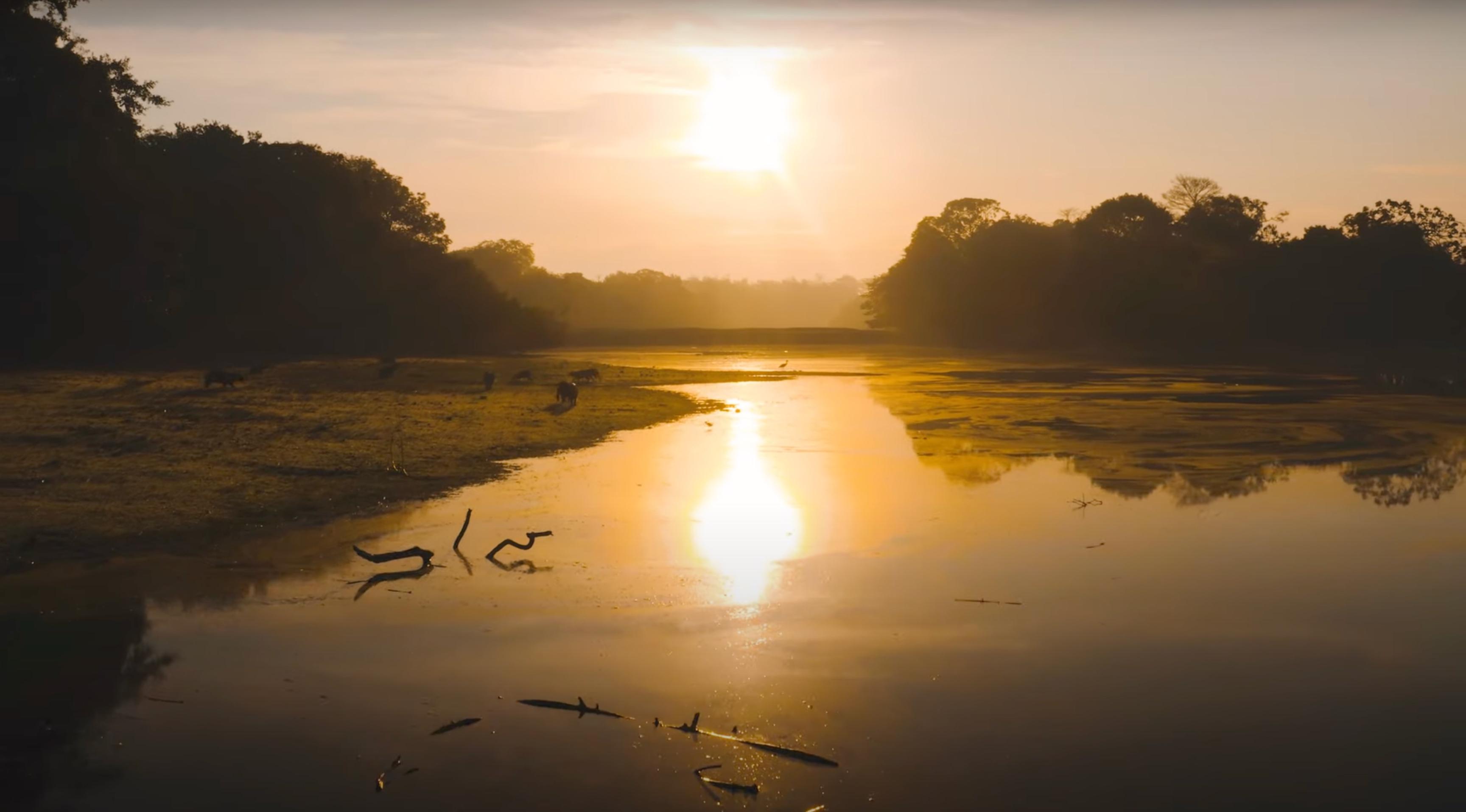 El Ministerio de Comercio, Industria y Turismo y Fontur promueven el turismo de naturaleza y cultural en el departamento de Casanare