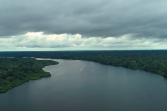 Leticia, Amazonas